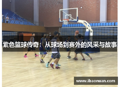 紫色篮球传奇：从球场到赛外的风采与故事