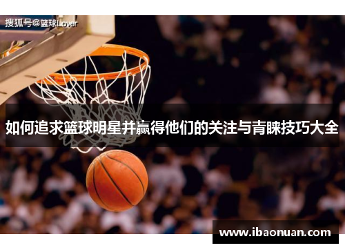 如何追求篮球明星并赢得他们的关注与青睐技巧大全