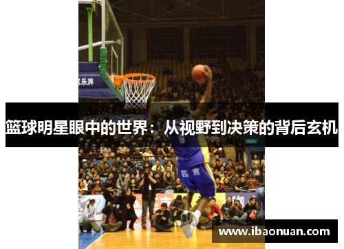 篮球明星眼中的世界：从视野到决策的背后玄机