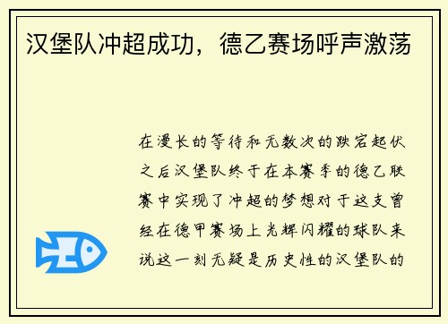 汉堡队冲超成功，德乙赛场呼声激荡